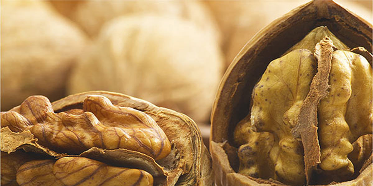 «Noci, puntiamo sul prodotto sgusciato»